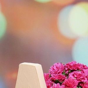 Meet your Posher, Abbe